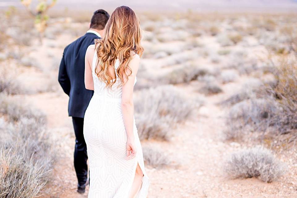 Nevada Wedding Photographer