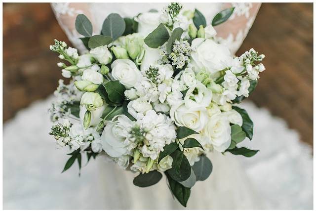 Erin L. Taylor Photography