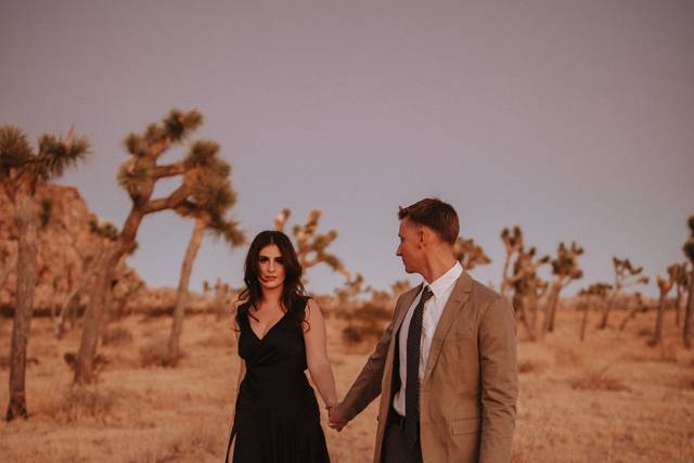 Joshua tree Engagements
