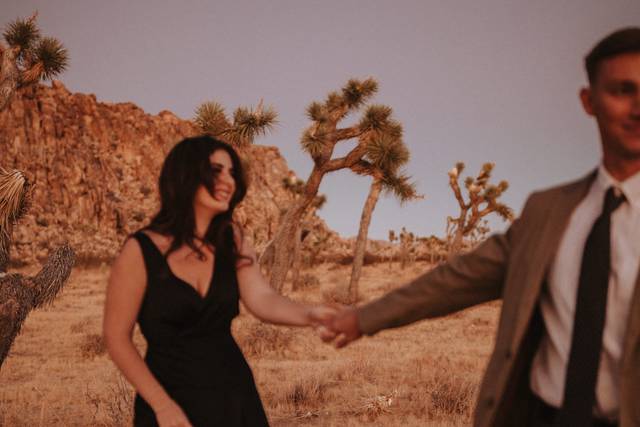 Joshua tree Engagements