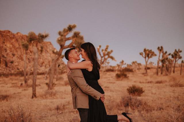 Joshua tree Engagements