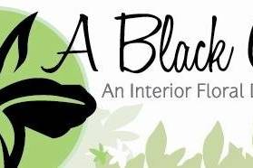 A Black Orchid, Inc.