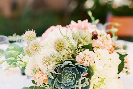 Succulent and flowers