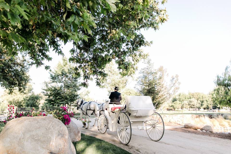 The Temecula Carriage Company