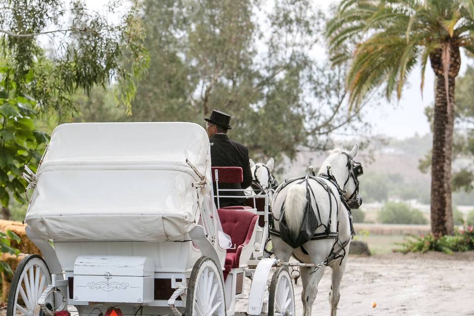 The Temecula Carriage Company