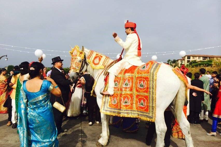 Baraat horse