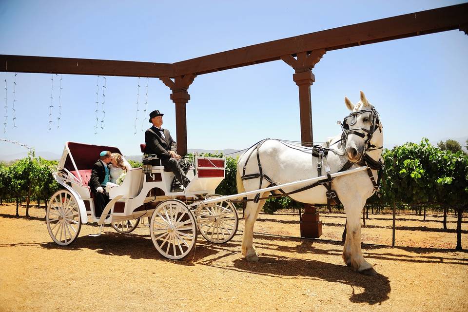 The Temecula Carriage Company