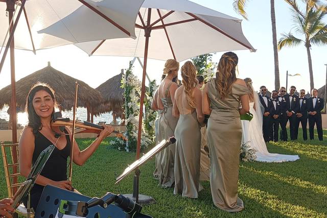 Weddings