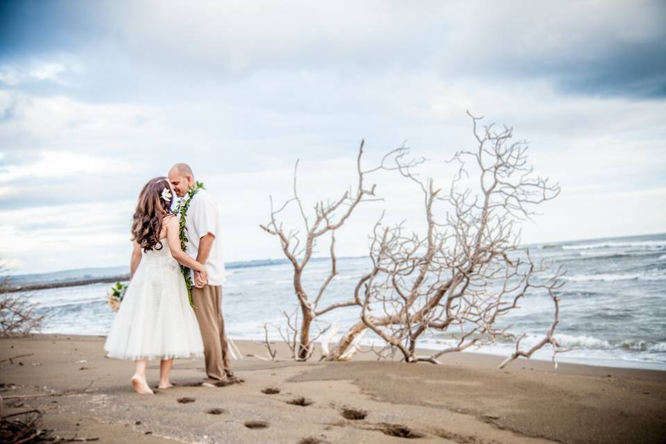 Kauai Wedding Photography by Sam Mitzel