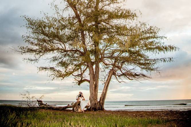 Kauai Wedding Photography by Sam Mitzel