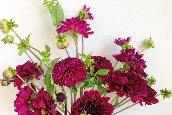 Summer garden bouquet