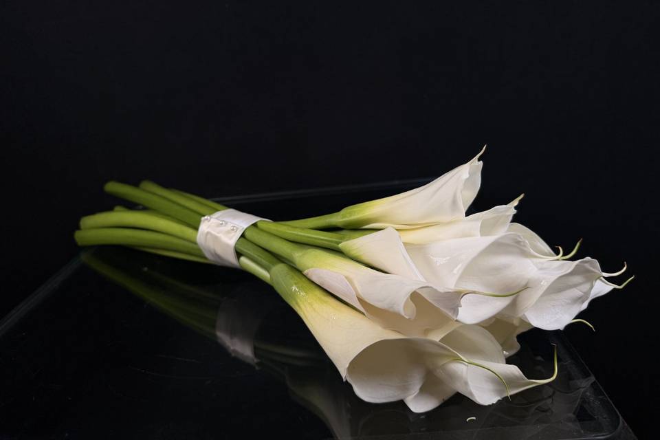 All Calla Lilies