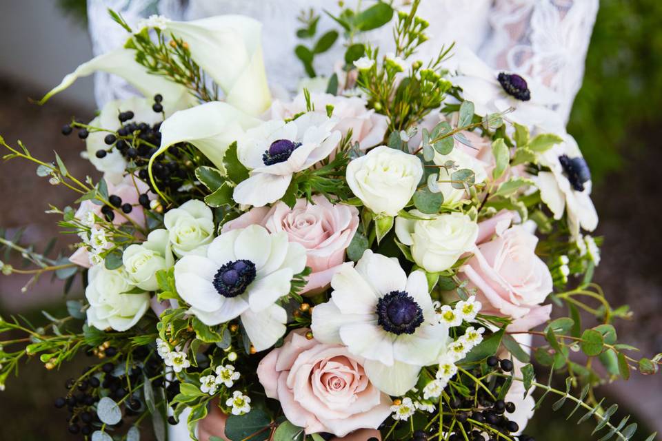 Featuring Anenomes