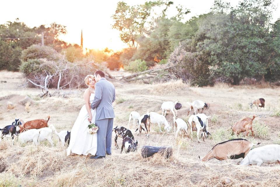 Mindful Wedding Photographers