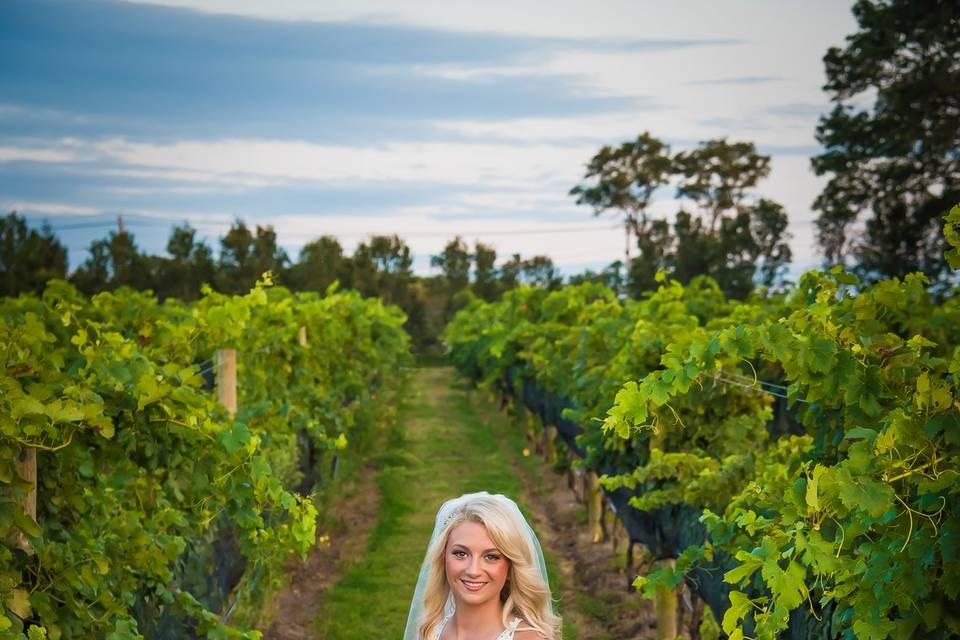 Vineyard wedding - The Glenmar Studio