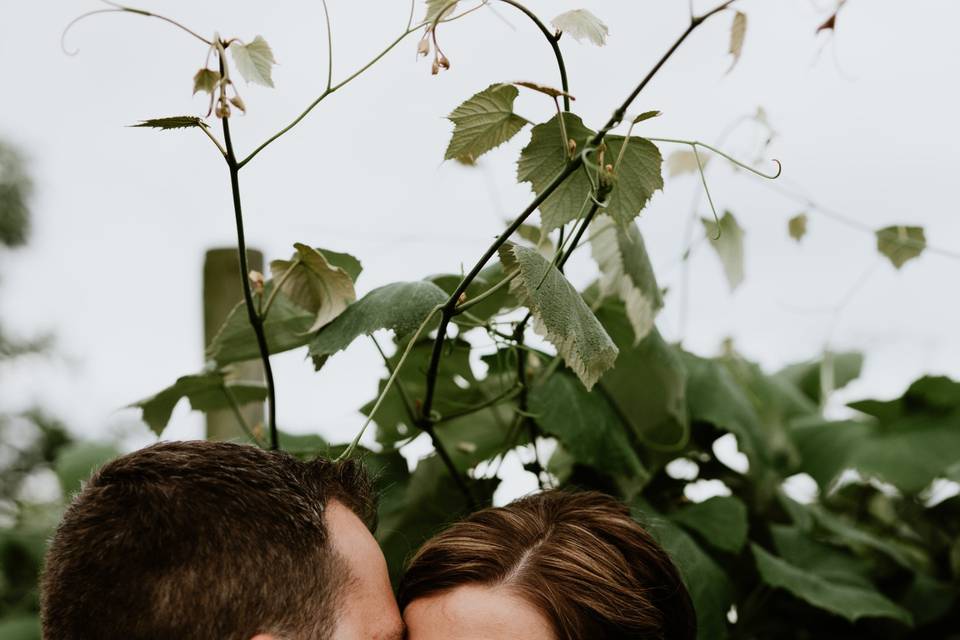 Bride and groom portrait