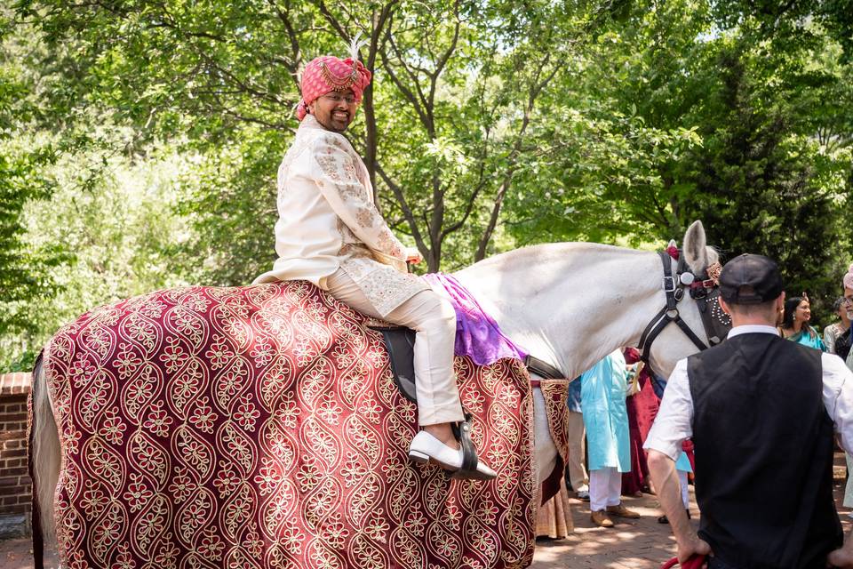 Horse indian wedding