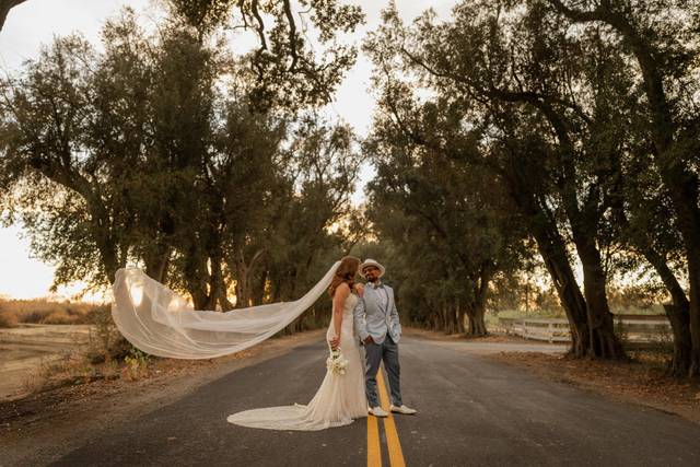Jeff Hall Photography