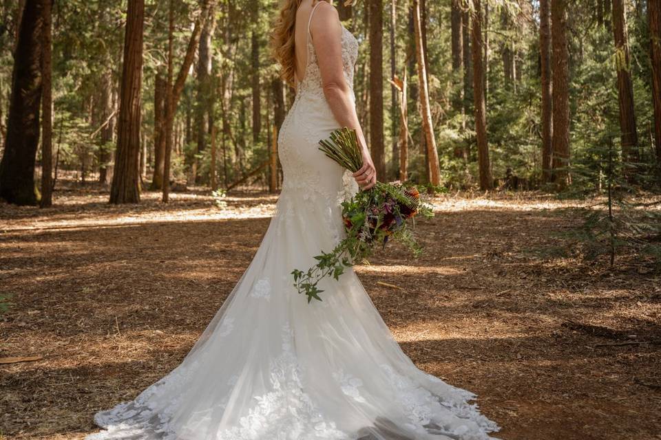 Jeff Hall Photography