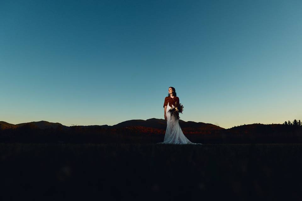 Todd Stoilov / Still & Motion
