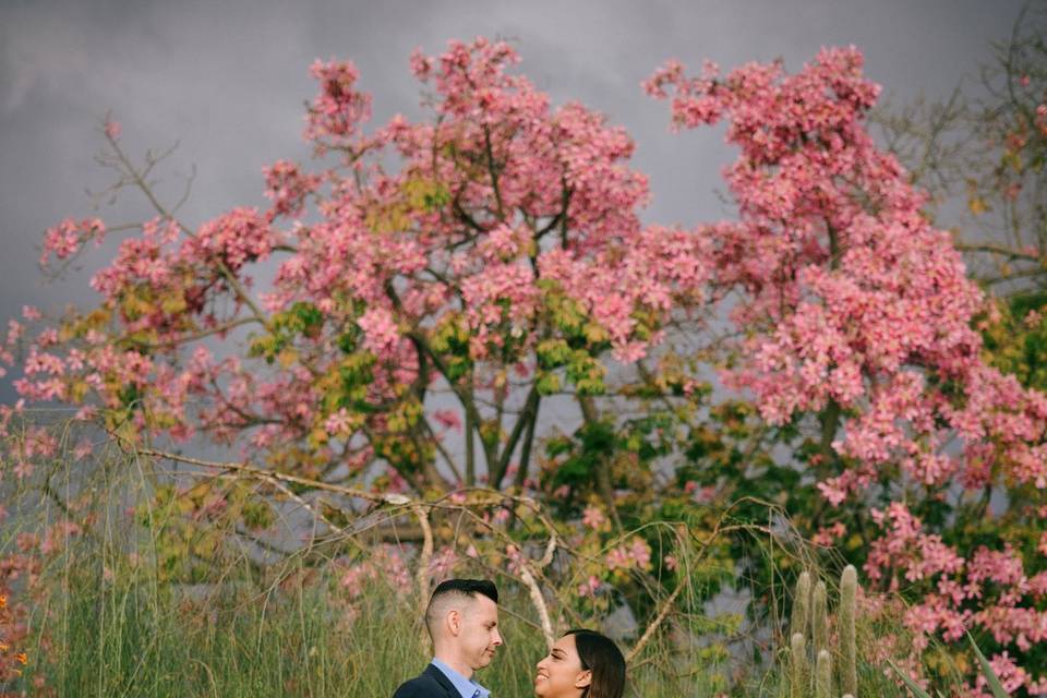 Engagement Photos