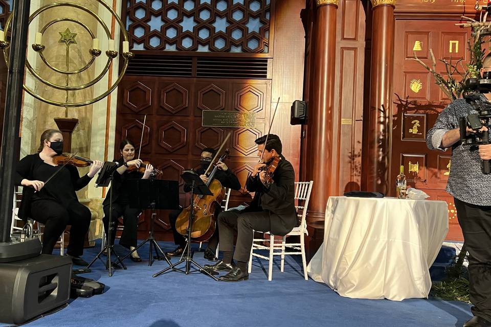 String Quartet