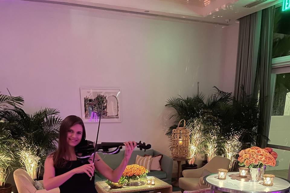 Electric Violin Duo