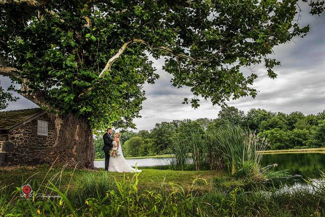 Our Wedding