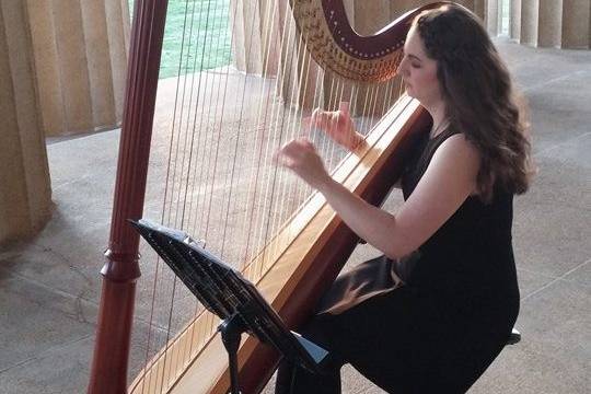 Liana Alpino, Harpist