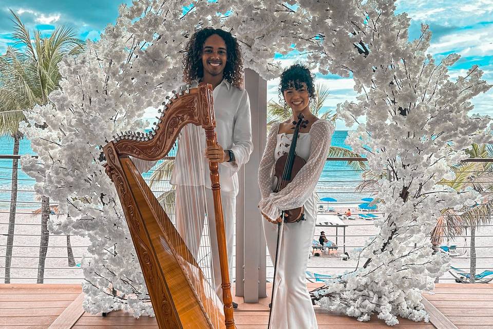 Harp and Violin duet