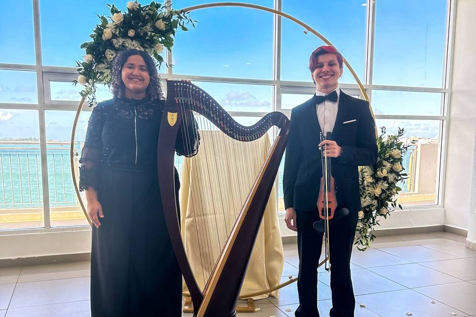 Violin and Harp