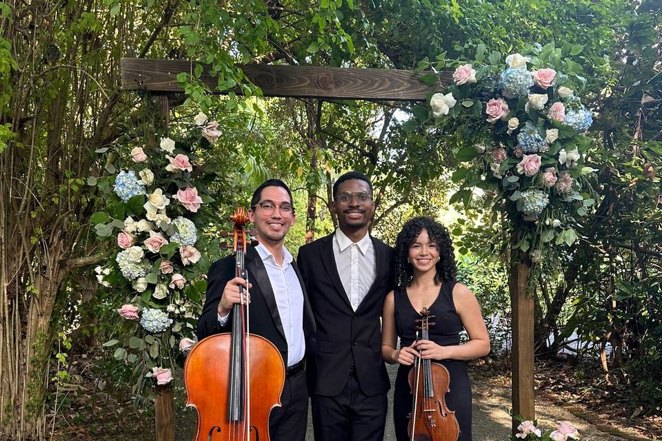 Piano, Violin & Cello