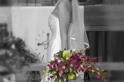 Jill Jagusch Photography