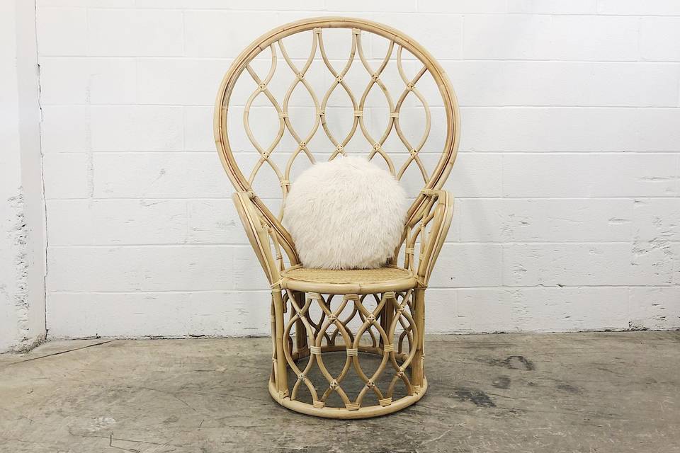 Modern peacock chair