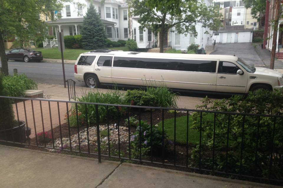 Limo Arrival