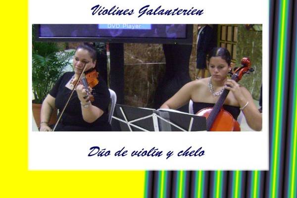 Violines Galanterien de Puerto Rico