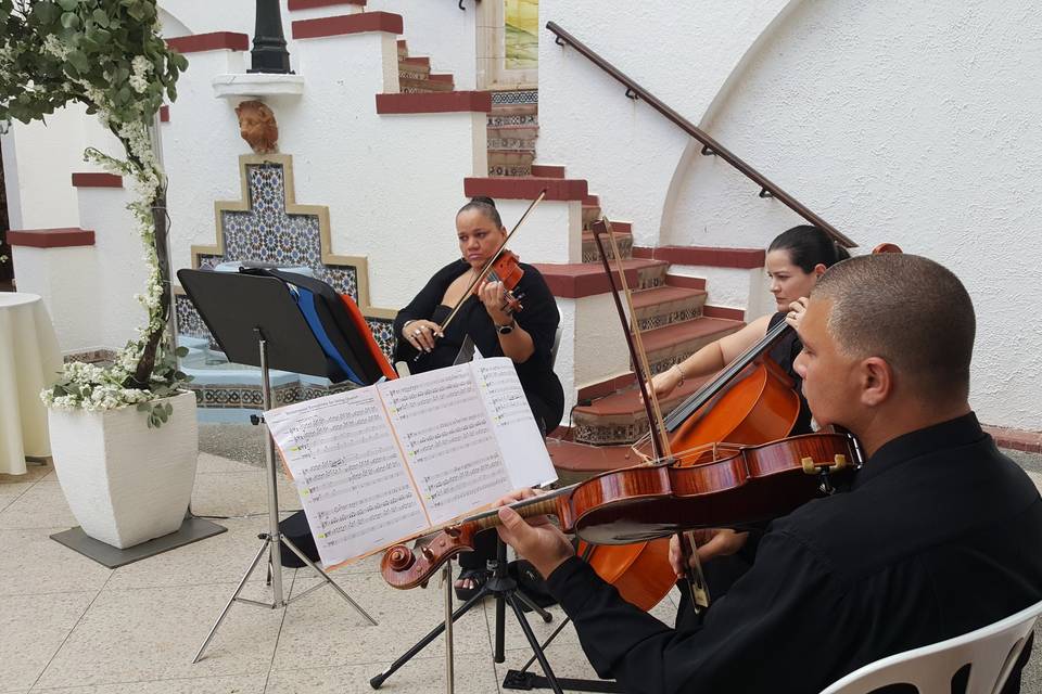 Trío - Violines Galanterien