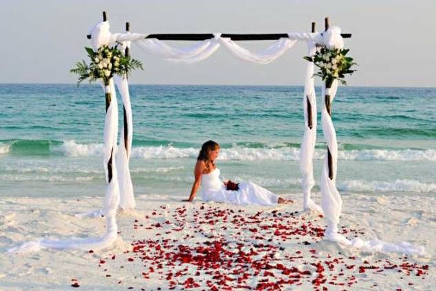 Romantic Beach Wedding in San Diego