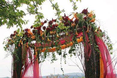 Zaki Nefertiti Baker - Wedding Minister