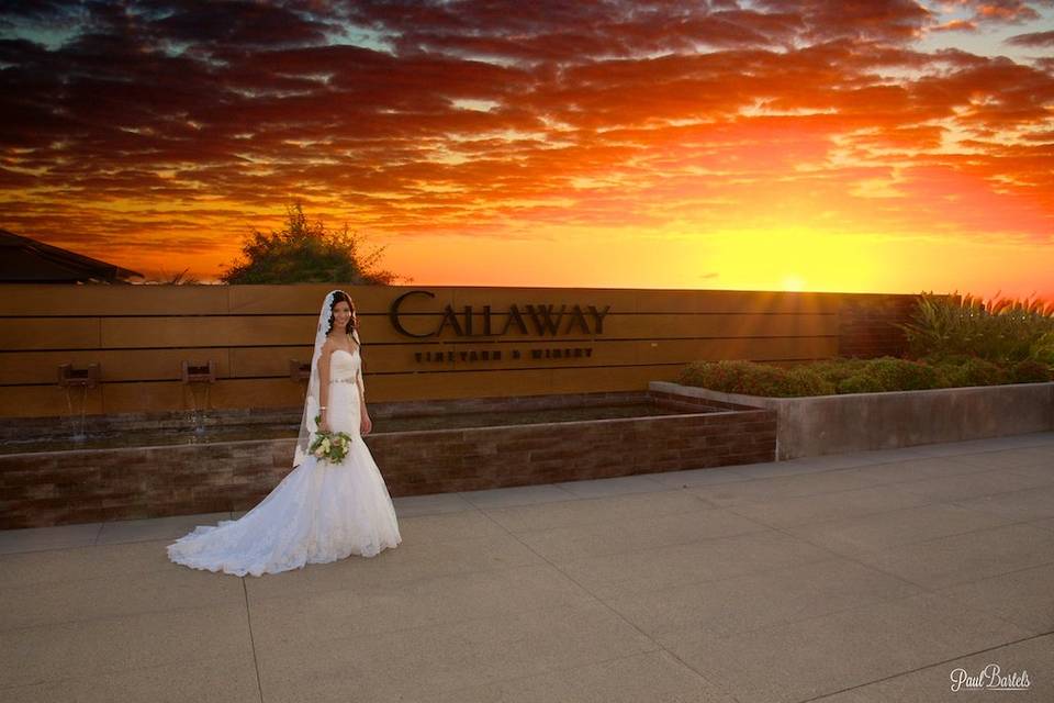 Sunset Bride at winery