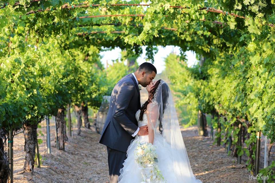 Temecula winery wedding