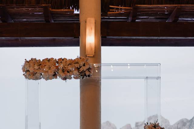 Reception in 12 Tribes