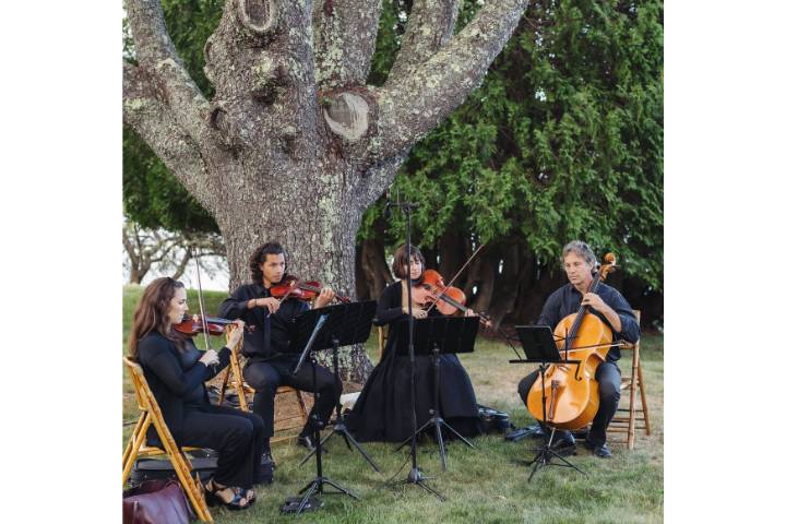 Strings ensemble