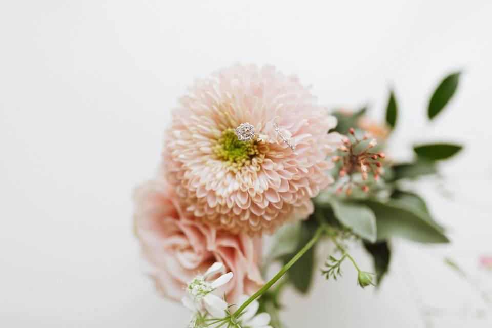 Visual Hymn | Photo + Video