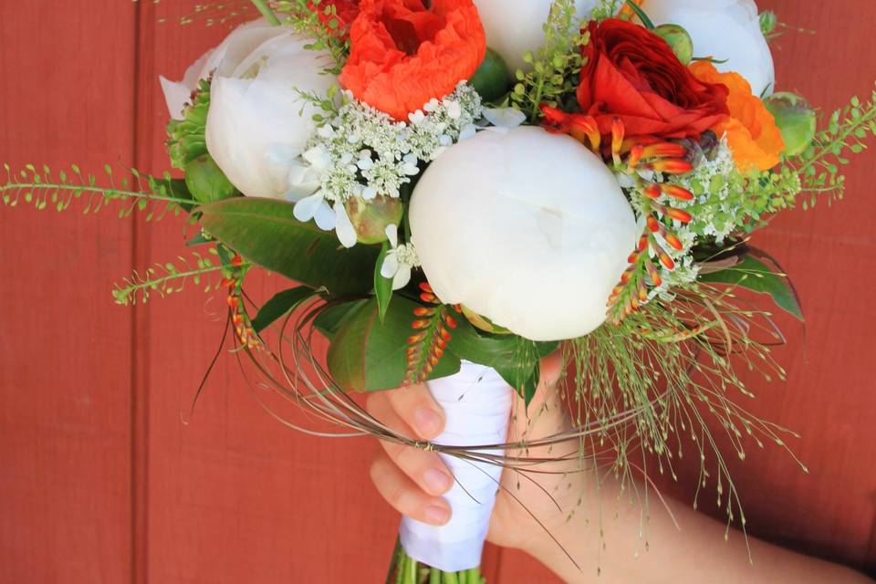 Peonies and Poppies