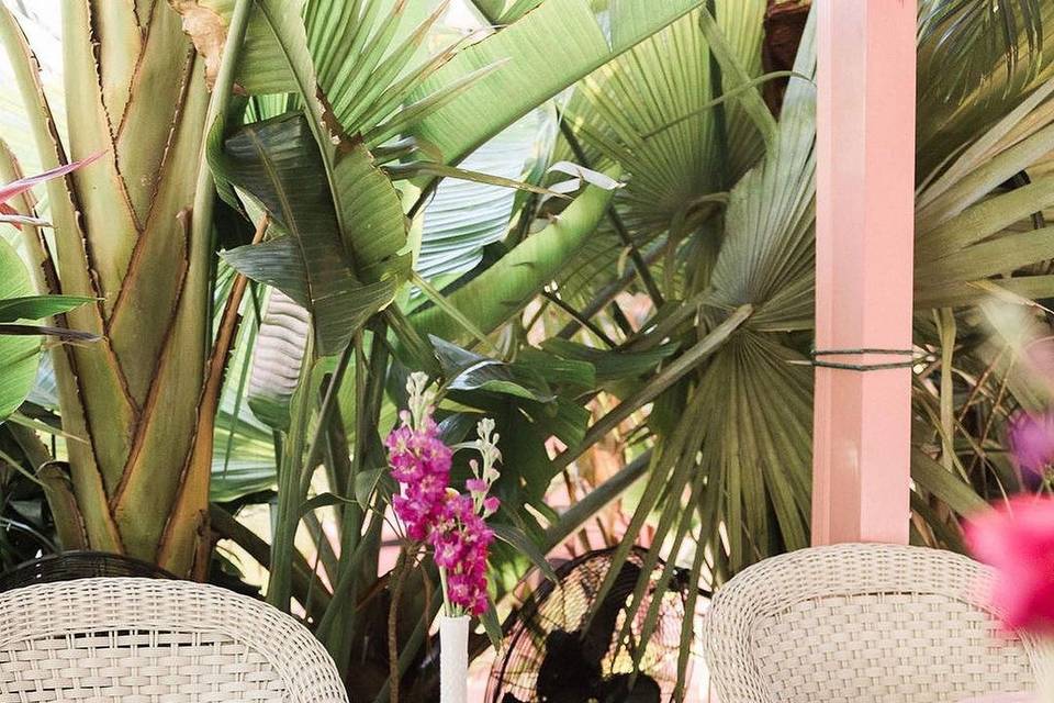 Casa Florida