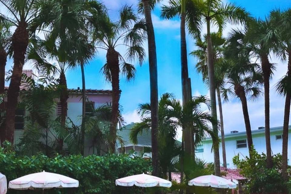 The Pool