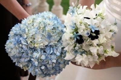 Blue flowers