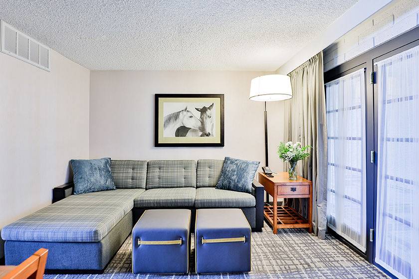 Suite living room