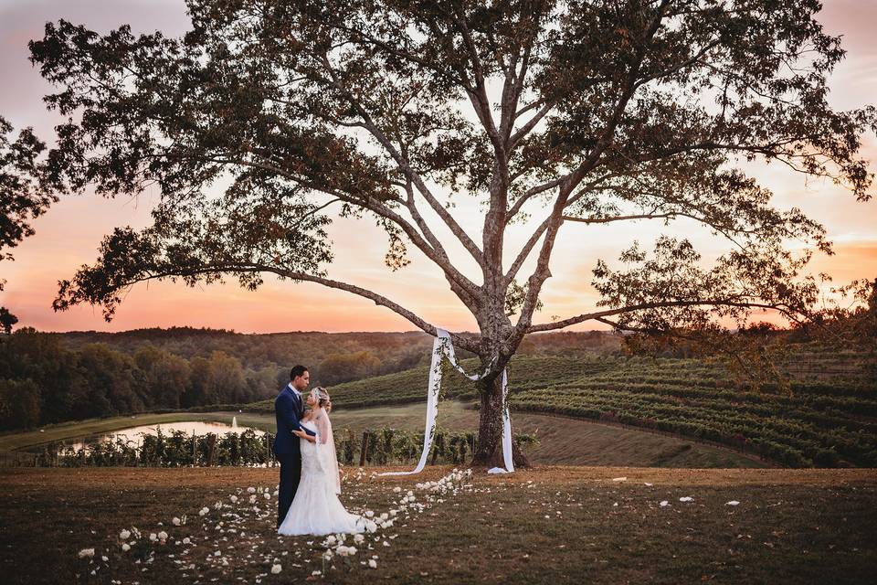 Dolce Amore Photography